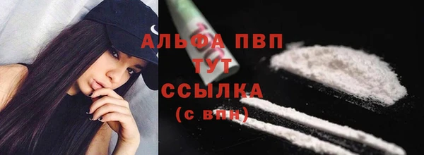 гидра Аркадак